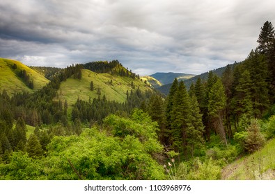 Mountains Covered With Forest. Eagle Cap Wilderness Area, Northeast Oregon, USA