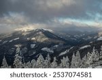 mountains covered with snowy pine forest