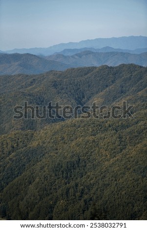 Similar – Image, Stock Photo Then the forest continues to grow blithely on the roof of the building