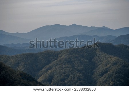 Similar – Image, Stock Photo Then the forest continues to grow blithely on the roof of the building