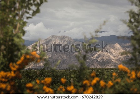 Mountains and flowers