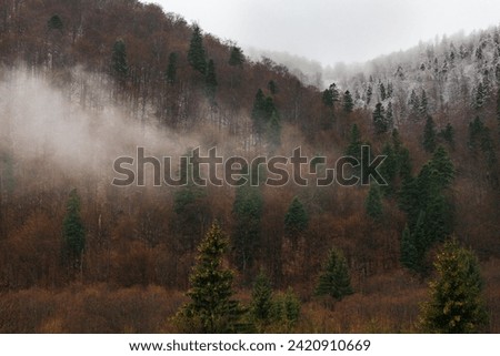 mountains, fog and snow in the mountains of Transylvania