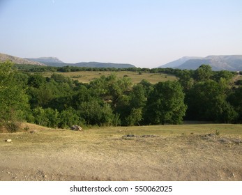 mountains and forests
