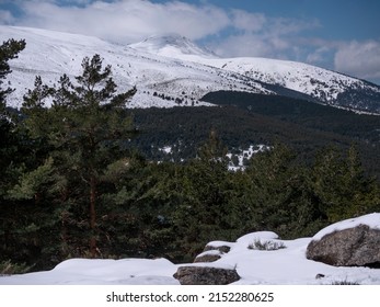 Mountains With Fresh Snow And Treeline Of Pines And Granite Rocks At Their Feet. Sierra De Guadarrama, Madrid, Spain.