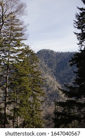 Mountains Of Gatlinburg Tennessee In The Winter