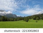 Mountains grassfield in the Italian dolomites, Cortina.