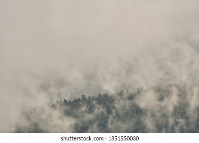 Mountains landscape. Forest in the clouds - Shutterstock ID 1851550030