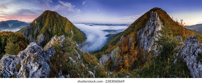 Mountains in low clouds at sunrise in autumn. View of mountain peak in fog in fall. Beautiful landscape with rocks, forest, sun, purple sky. Top view of mountain valley in clouds. Foggy hills