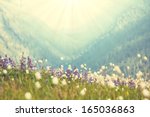 mountains meadow