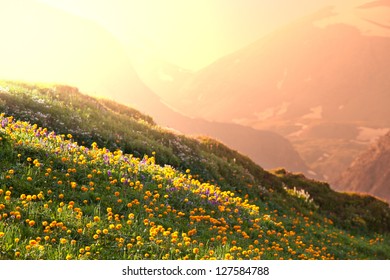 21,423 Grassland mountain flower Images, Stock Photos & Vectors ...