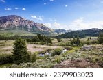 Mountains, meadows and forest trees of Shoshone National Forest in northwest Wyoming.