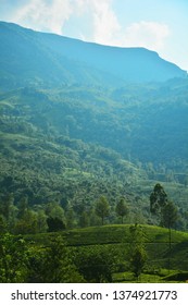 Mountains Of Munnar, Kerala