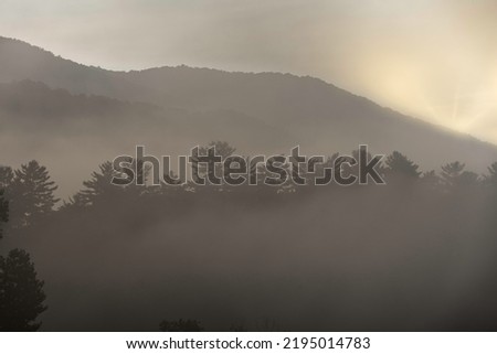Mountains on a foggy day with trees on the ridge line silhouetted the sun coming up.  Cades Cove  Great Smoky Mountains National Park.