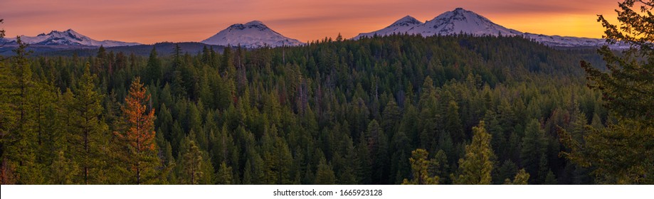 Mountains in the oregon forest