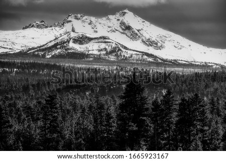 Mountains in the oregon forest
