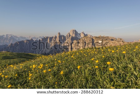 Similar – Image, Stock Photo Summer flowers before summer flower dress