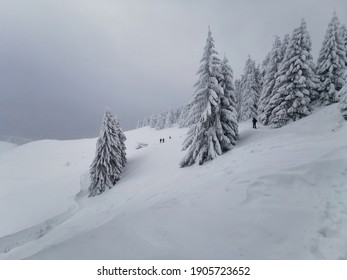 36 Ciucaș mountains Images, Stock Photos & Vectors | Shutterstock