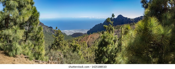 Volcan De Arafo High Res Stock Images Shutterstock