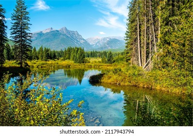 Mountains are reflected in a forest river. Forest river water. Mountain valley forest river landscape. River in forest