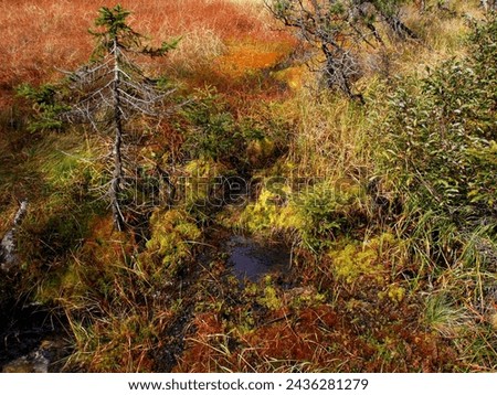 mountains river stream waterfall nature beautiful colorful national park autumn 