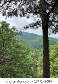 Mountains Of Roanoke, VA