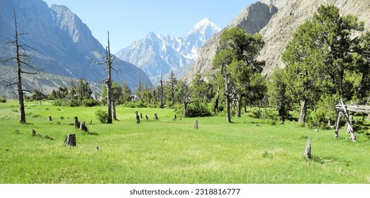mountains, snow fall, higher altitude, northern Pakistan, Qurumber National Park, wildlife habitat, snow leopard, alpine zone, glaciers, Gilgit, Kashmir. 