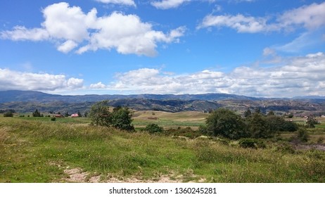 Mountains and Trees