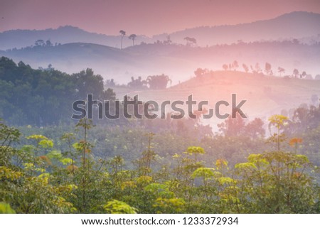mountains under mist in the morning with beautiful sky in thailand.