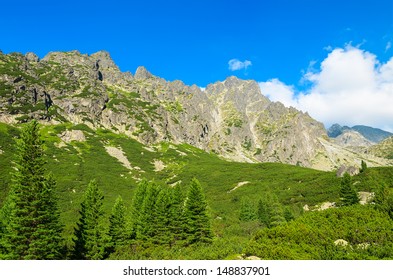 Mountains view green spruce trees, trail to 5 lakes valley (Piat Spisskich Ples), High Tatras, Slovakia