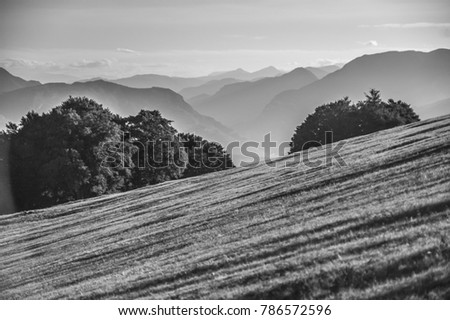 Similar – Land Natur Landwirtschaft