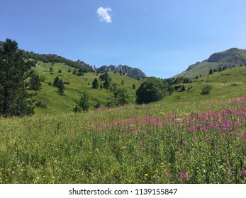 Mountains View Zelengora