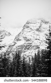 Mountains - Zakopane in the winter - monochrome