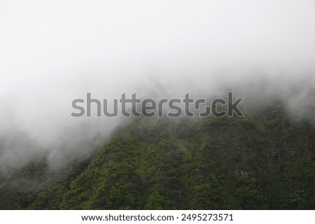 Mountainside of Mount Ka’Ala with low lying clouds
