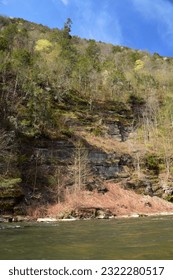 The mountainside, in the spring, while kayaking on Pine Creek, Pennsylvania. Tioga State Forest, Tioga County.