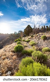 Mountaintop Section Of A Southern Part Of The Pacific Crest Trail In Late Evening.