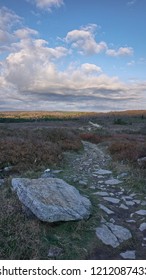 Mountaintop Trail In Dolly Sods Wilderness Area