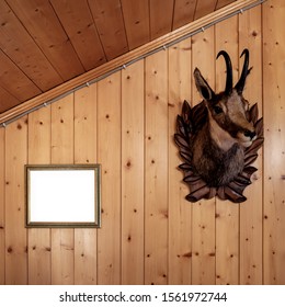 Mounted Animal Head On Wall In Swiss Mountain Chalet.