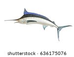 Mounted Blue Marlin isolated against a white background