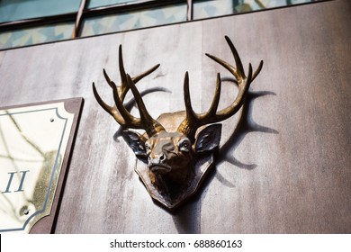 Mounted Head Of Deer