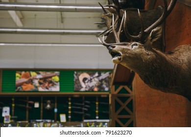 stuffed stag