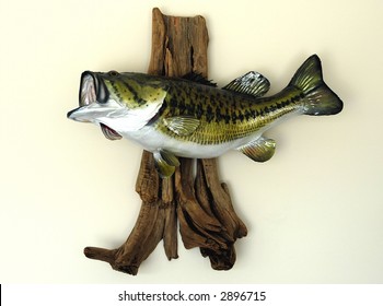 Mounted Large Mouth Bass