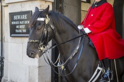 Mounted Queen's Life Guard Of The Household Cavalry Sits On His Horse In An Archway Facing Whitehall In London, England