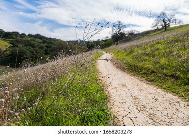 Mountian Bike Path On Lime Ridge.