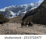 mounty horsies waiting for a rider