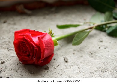 Mourning. Red Rose On The Concrete.