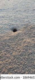 A Mouse Burrow In The Middle Of The Desert During The Day