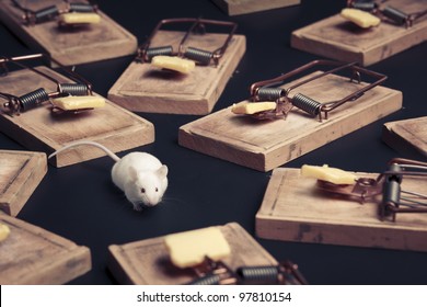 mouse in danger surrounded by mouse traps - Shutterstock ID 97810154