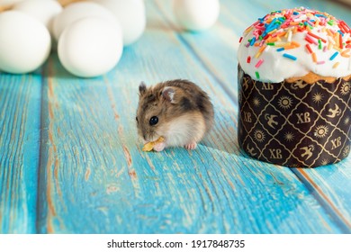 ハムスター の画像 写真素材 ベクター画像 Shutterstock