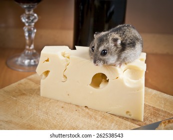 Mouse loves cheese
