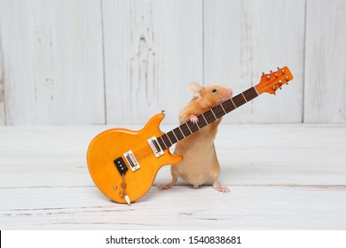 Сute mouse plays guitar, sings. Fun pet fond of music. Talented animal: home musician. Musical mouse celebrate. Mouse rock star on stage gives concert. Postcard with mouse. Talent, song. Celebration